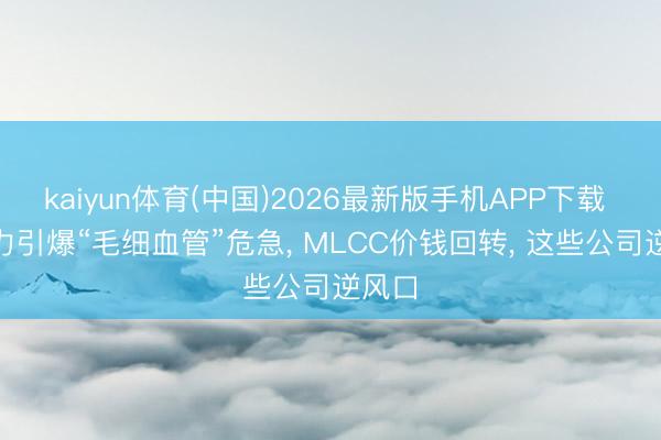 kaiyun体育(中国)2026最新版手机APP下载 AI算力引爆“毛细血管”危急， MLCC价钱回转， 这些公司逆风口