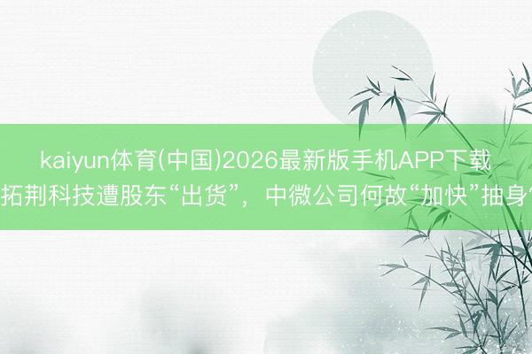 kaiyun体育(中国)2026最新版手机APP下载 拓荆科技遭股东“出货”，中微公司何故“加快”抽身？