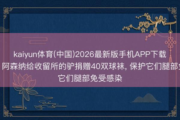 kaiyun体育(中国)2026最新版手机APP下载 太阳报: 阿森纳给收留所的驴捐赠40双球袜， 保护它们腿部免受感染