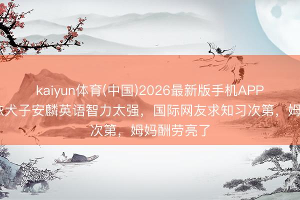 kaiyun体育(中国)2026最新版手机APP下载 黄圣依犬子安麟英语智力太强，国际网友求知习次第，姆妈酬劳亮了