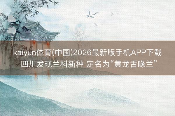kaiyun体育(中国)2026最新版手机APP下载 四川发现兰科新种 定名为“黄龙舌喙兰”